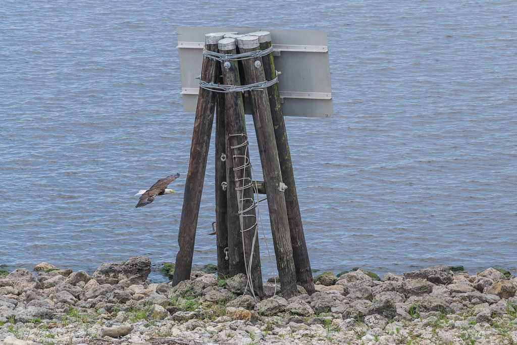 Lake Okeechobee boat ride