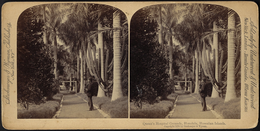 Hawaiian Islands boat ride