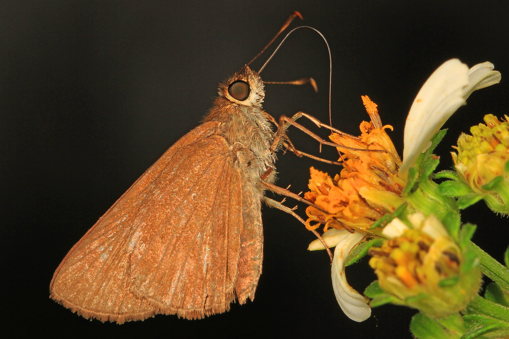 Everglades National Park boat ride