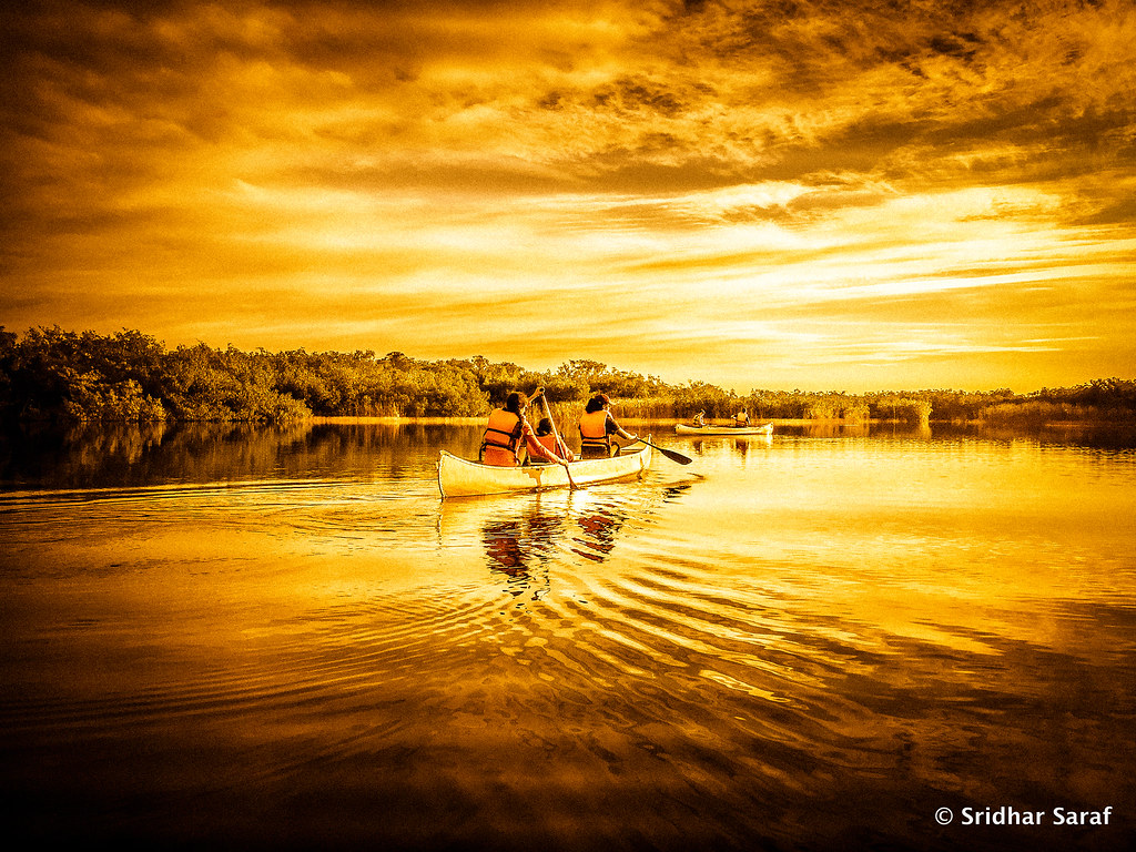Everglades City boat ride