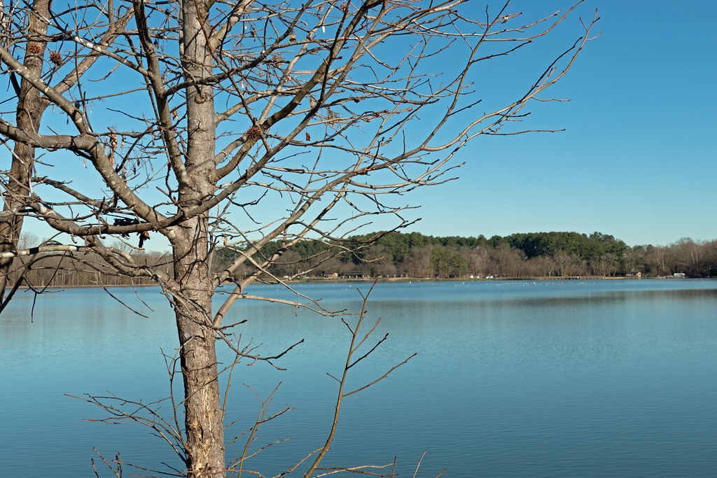 Lake Gaston boat ride