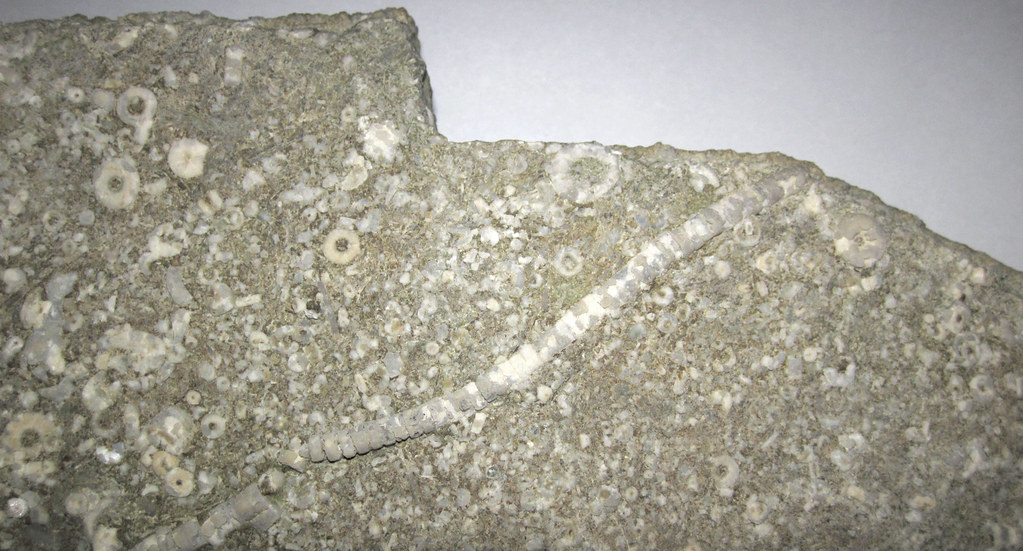 Lake Cumberland boat ride