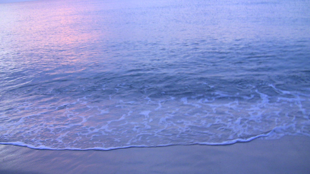 Miami Beach boat ride