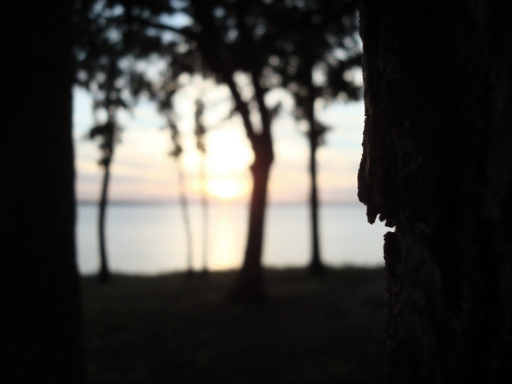 Lake Texoma boat ride