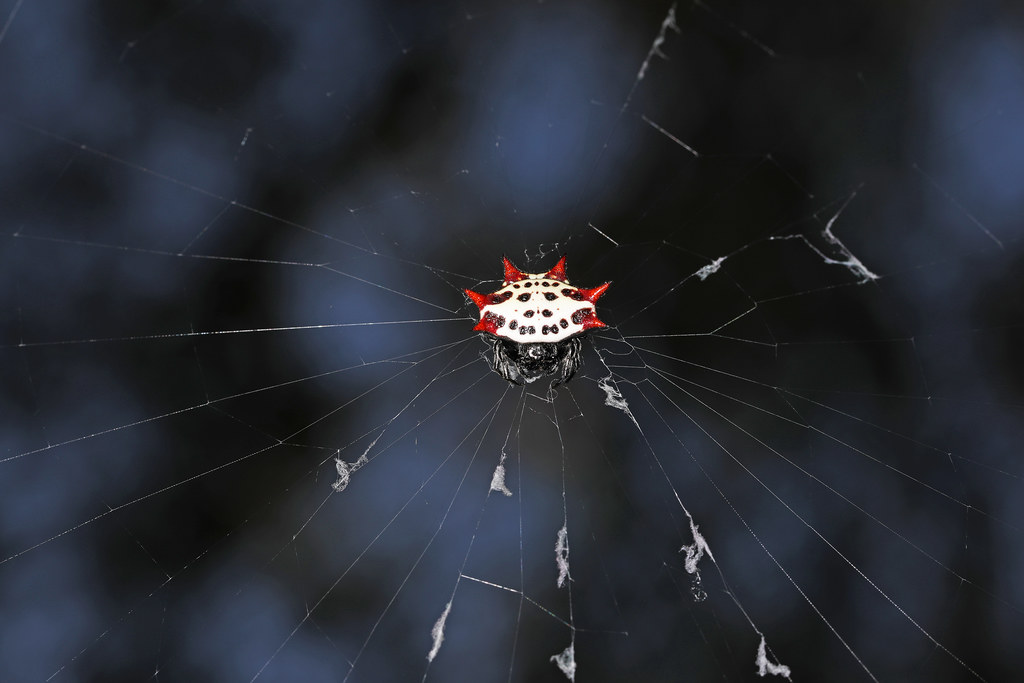 Lake Placid boat ride