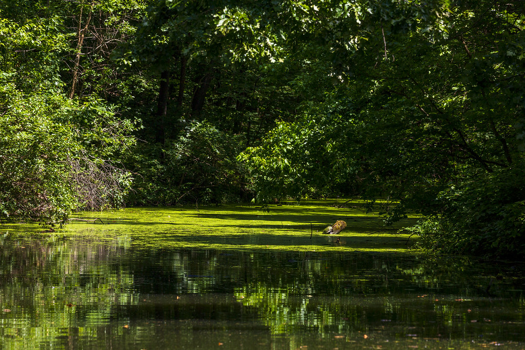 Lake of the Ozarks boat ride