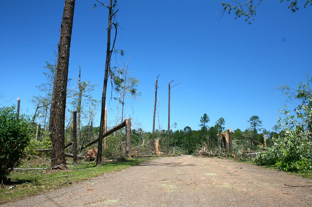 Lake Martin boat ride