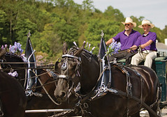 Mackinac Island boat ride