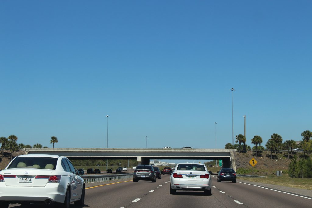 Lake Seminole boat ride